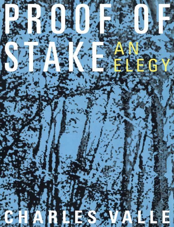 F0NO11 // Charles Valle - Proof of Stake: An Elegy (print; book)