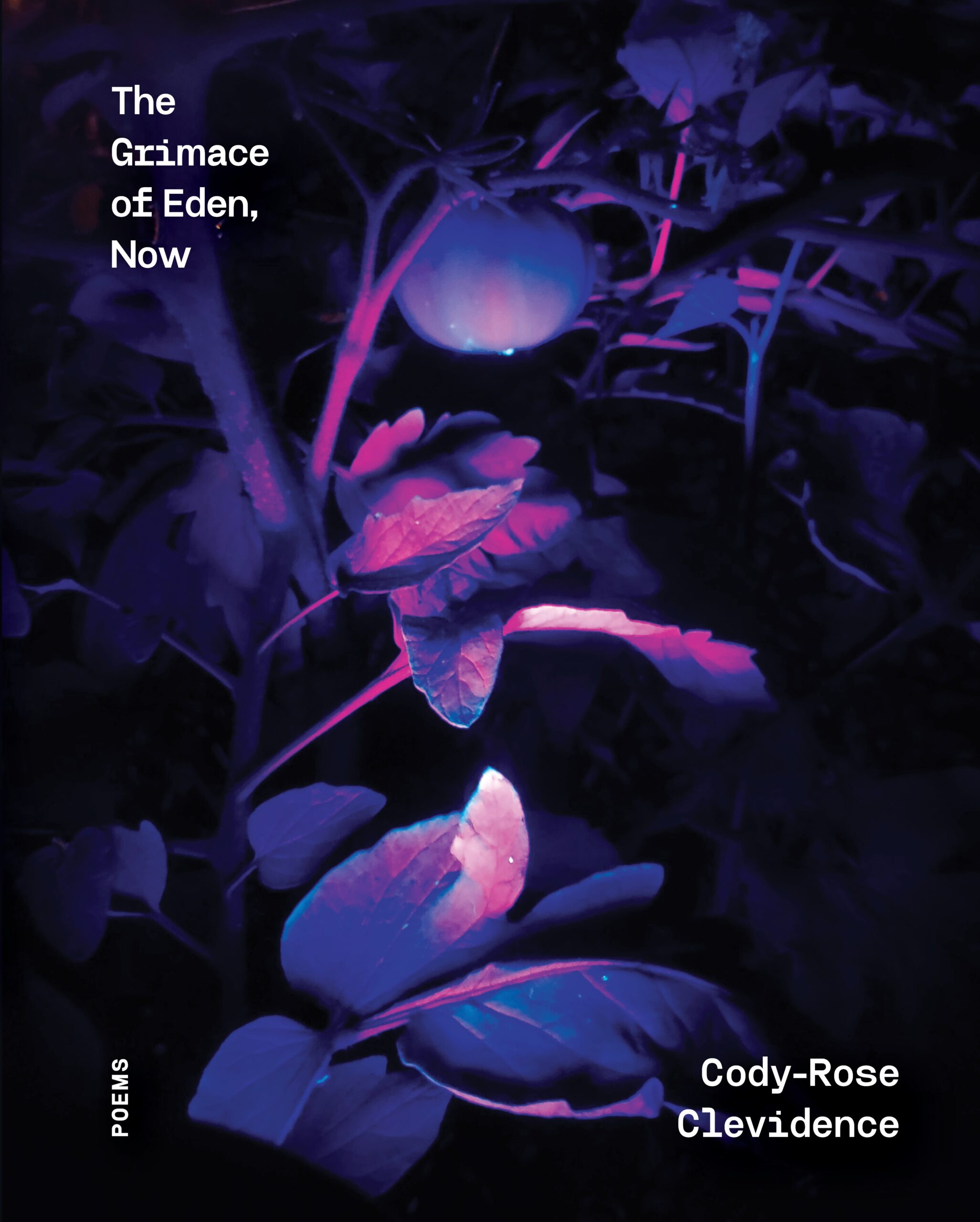 FONO32 // Cody-Rose Clevidence -- The Grimace of Eden, Now (print; hardback book)